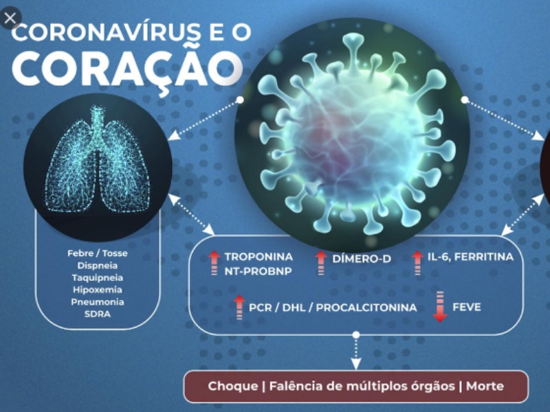 Alterações cardiovasculares no pós COVID-19